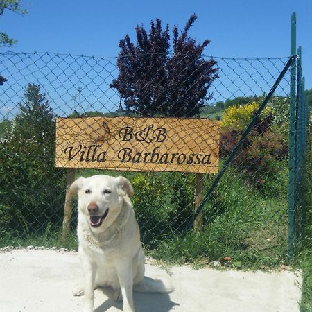 B&B Villa Barbarossa Petrignano Buitenkant foto