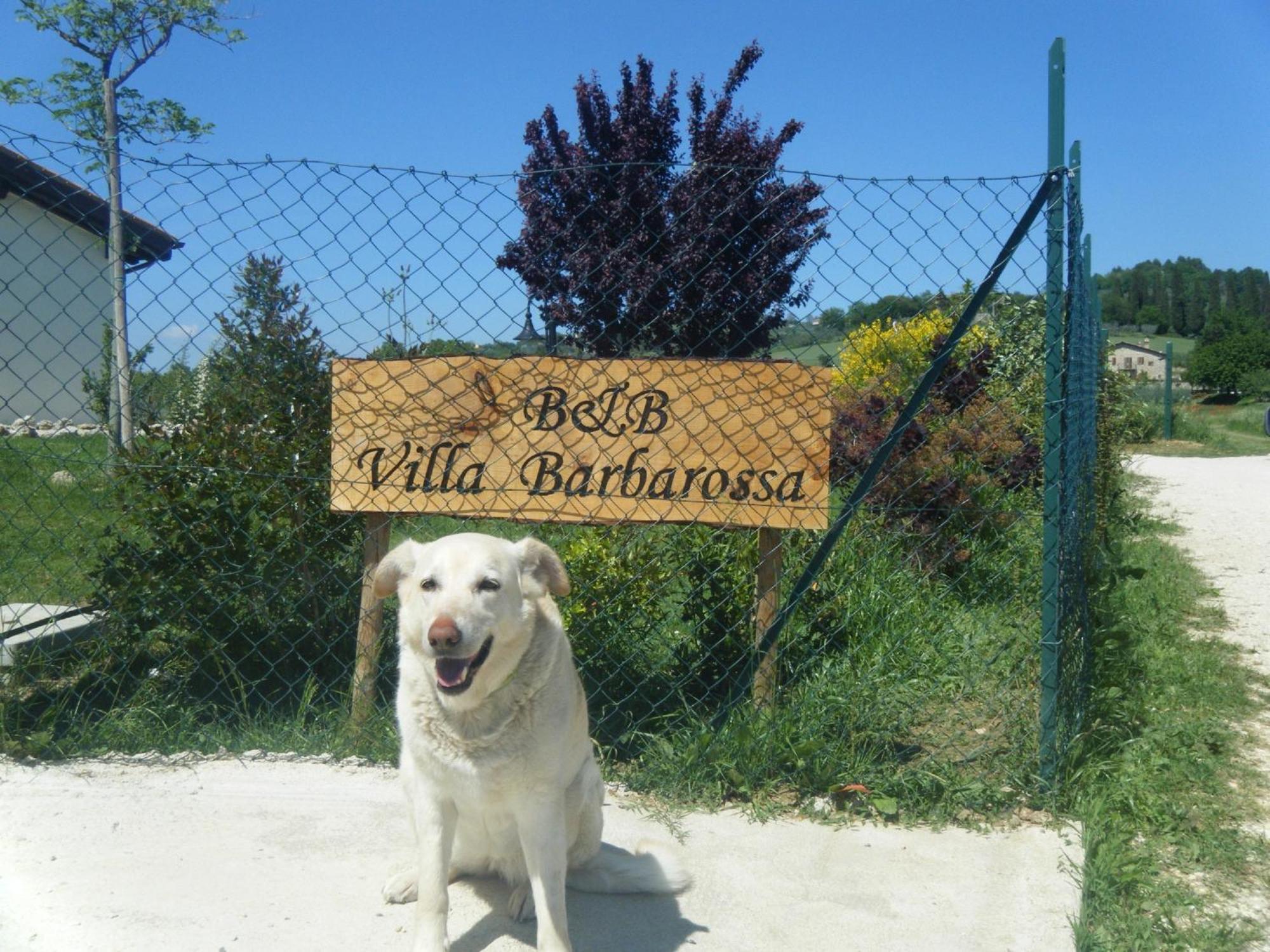B&B Villa Barbarossa Petrignano Buitenkant foto