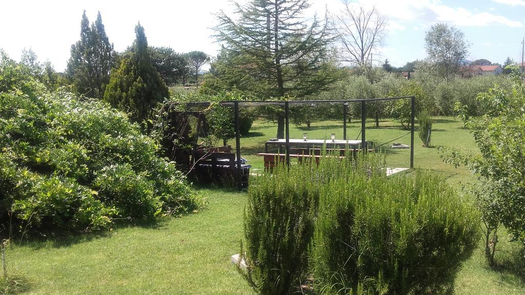 B&B Villa Barbarossa Petrignano Buitenkant foto