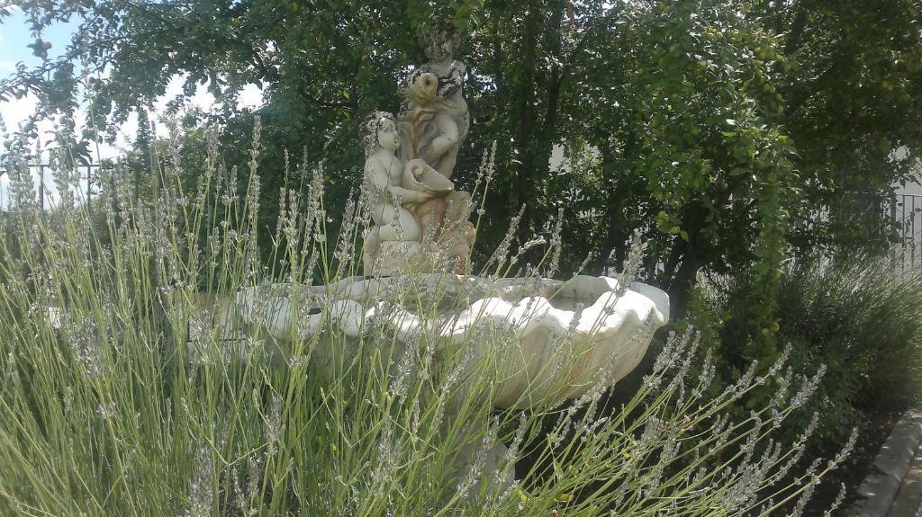 B&B Villa Barbarossa Petrignano Buitenkant foto